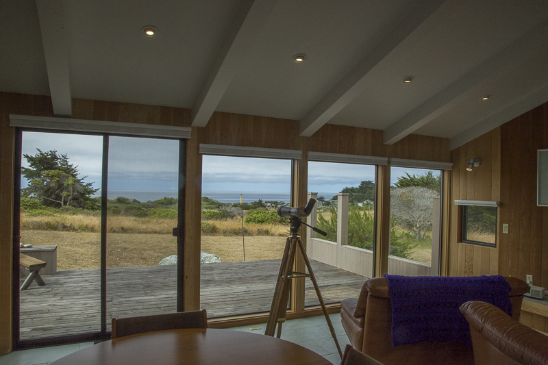 Interior of the living room looking out through a wall of windows at the meadow and ocean beyond.