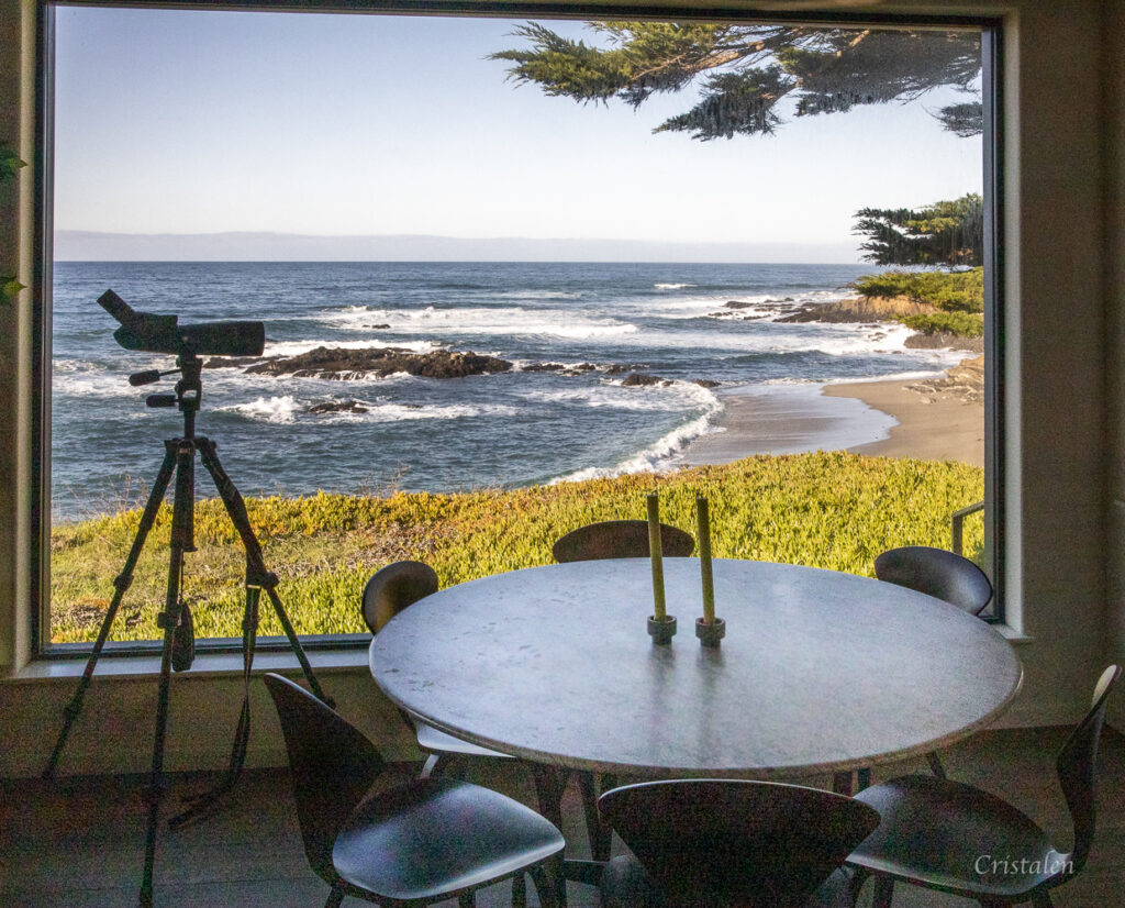 A dining room table with a view of the ocean through a very large window.